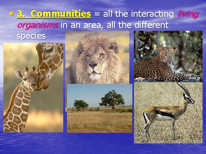  • 3. Communities = all the interacting living organisms in an area, all