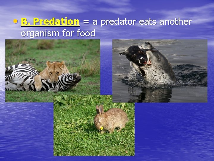 • B. Predation = a predator eats another organism for food • B. Predation = a predator eats another organism for food