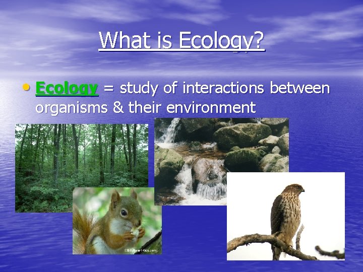 What is Ecology? • Ecology = study of interactions between organisms & their environment What is Ecology? • Ecology = study of interactions between organisms & their environment