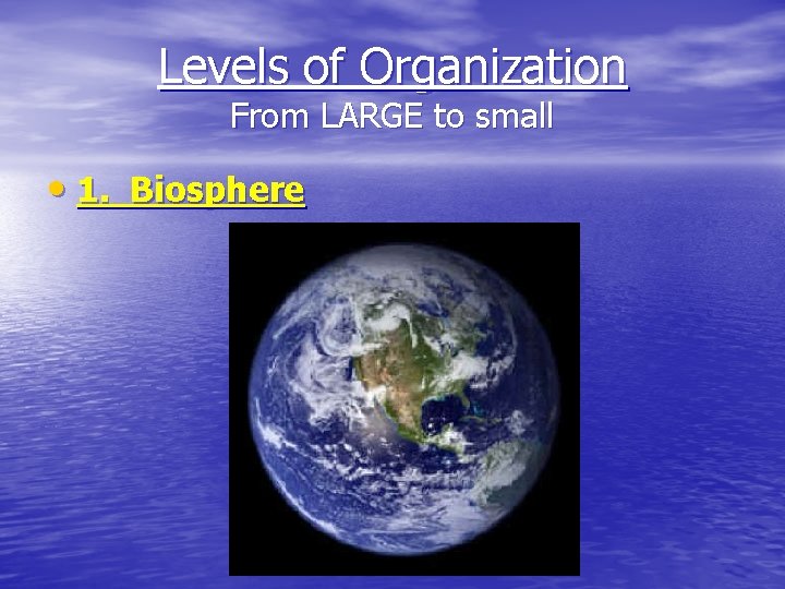 Levels of Organization From LARGE to small • 1. Biosphere Levels of Organization From LARGE to small • 1. Biosphere