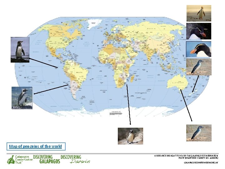 Map of penguins of the world A RESOURCE BROUGHT TO YOU BY THE GALAPAGOS