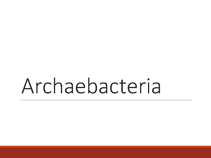 Archaebacteria 