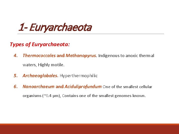 1 - Euryarchaeota Types of Euryarchaeota: 4. Thermococcales and Methanopyrus. Indigenous to anoxic thermal