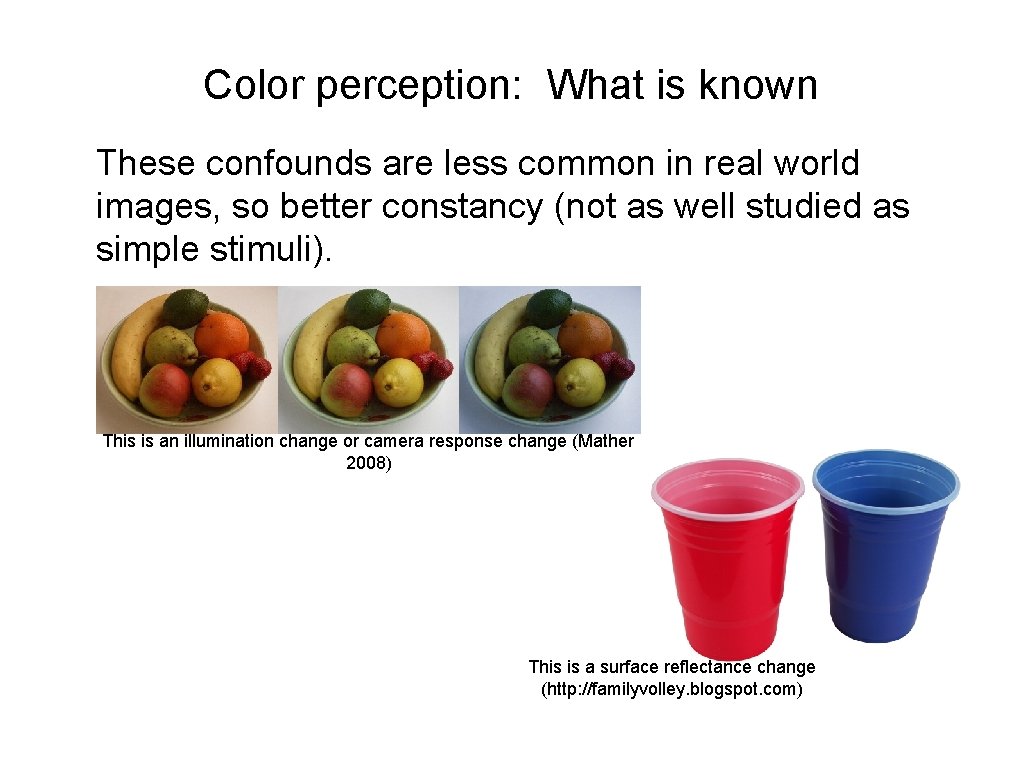 Color perception: What is known These confounds are less common in real world images,