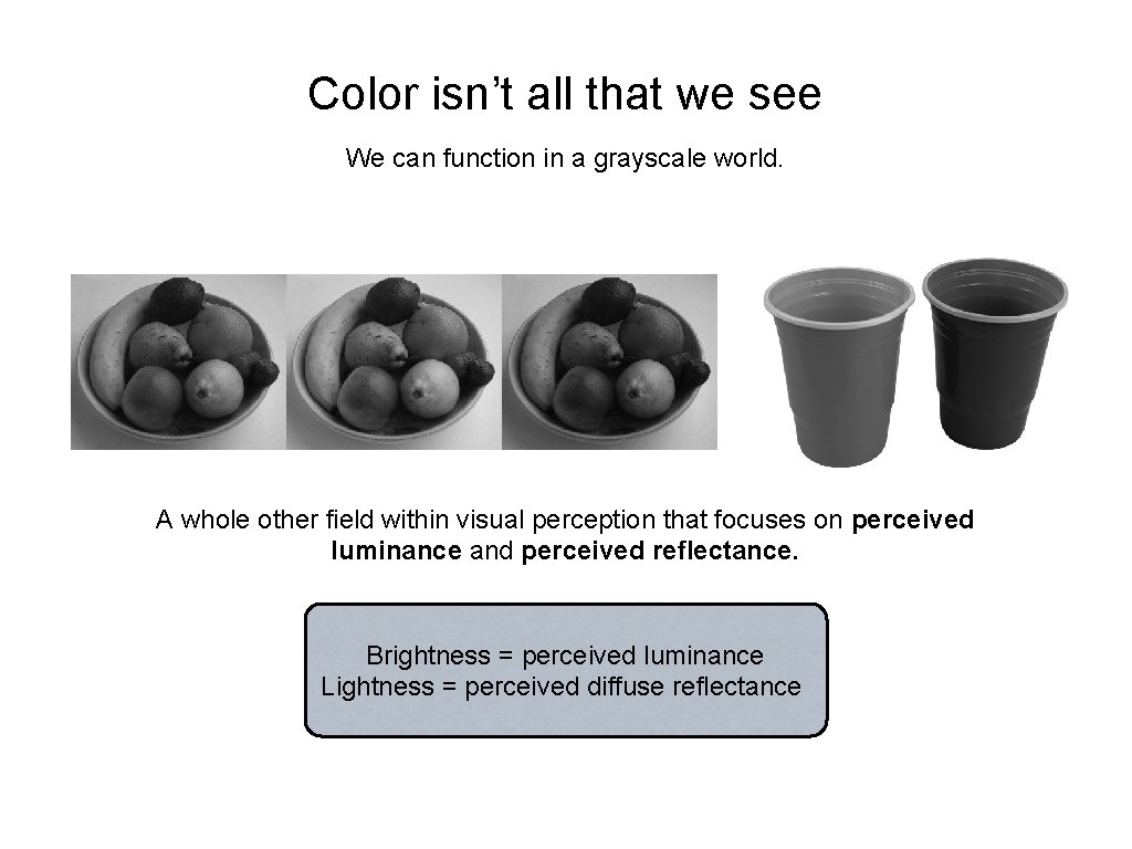 Color isn’t all that we see We can function in a grayscale world. A