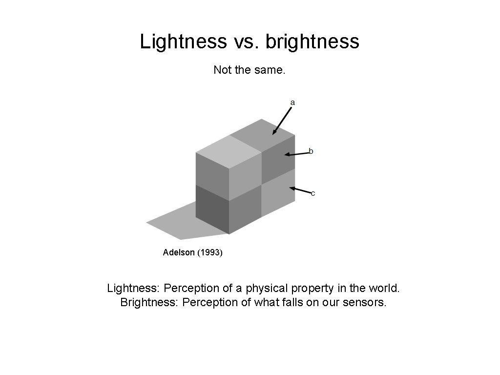 Lightness vs. brightness Not the same. Adelson (1993) Lightness: Perception of a physical property