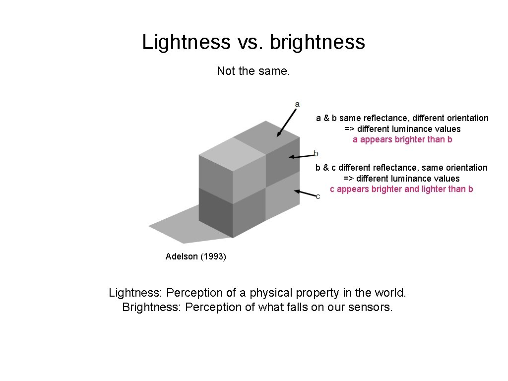 Lightness vs. brightness Not the same. a & b same reflectance, different orientation =>