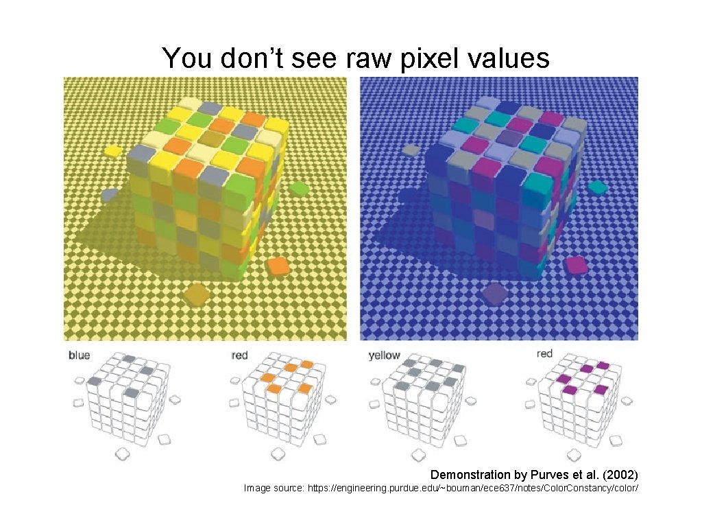 You don’t see raw pixel values Demonstration by Purves et al. (2002) Image source: