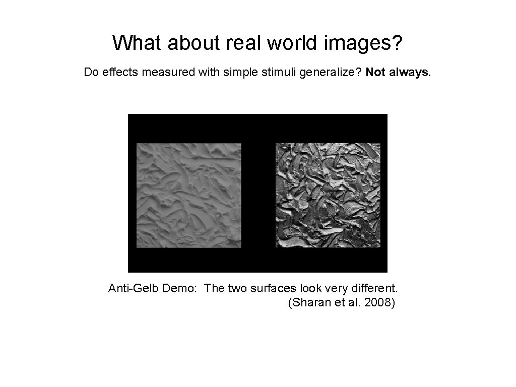 What about real world images? Do effects measured with simple stimuli generalize? Not always.