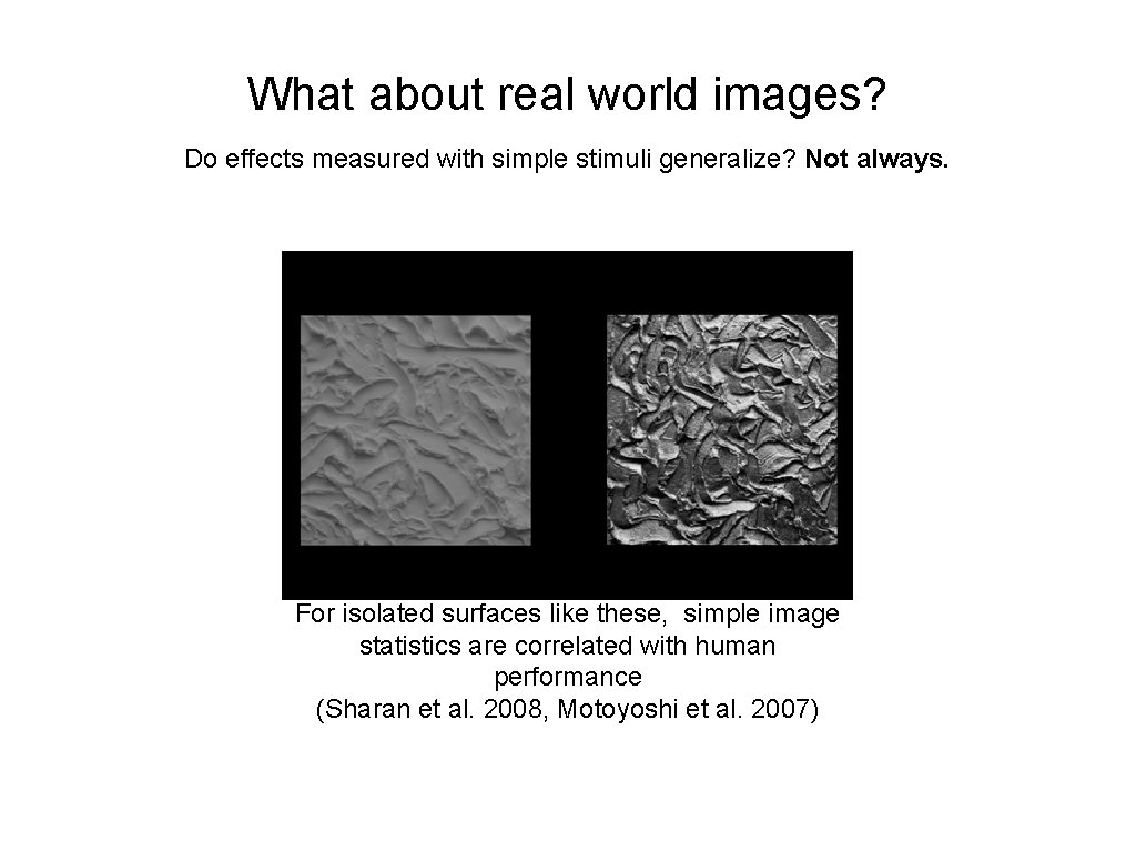 What about real world images? Do effects measured with simple stimuli generalize? Not always.