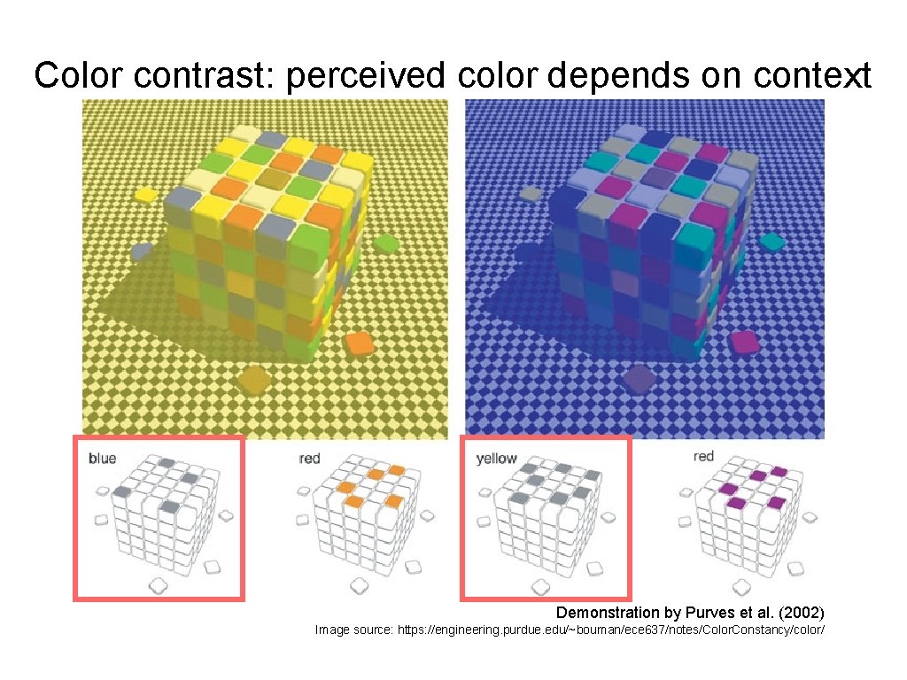 Color contrast: perceived color depends on context Demonstration by Purves et al. (2002) Image