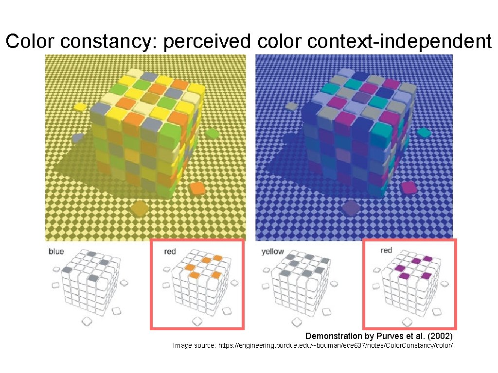 Color constancy: perceived color context-independent Demonstration by Purves et al. (2002) Image source: https: