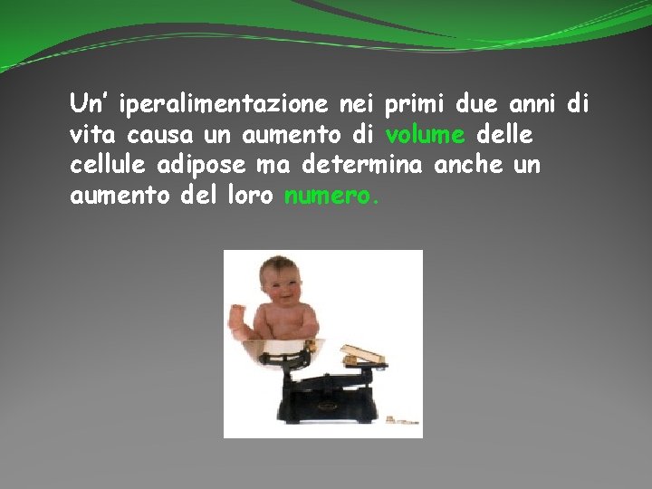 Un’ iperalimentazione nei primi due anni di vita causa un aumento di volume delle