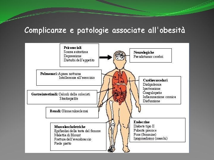 Complicanze e patologie associate all'obesità 