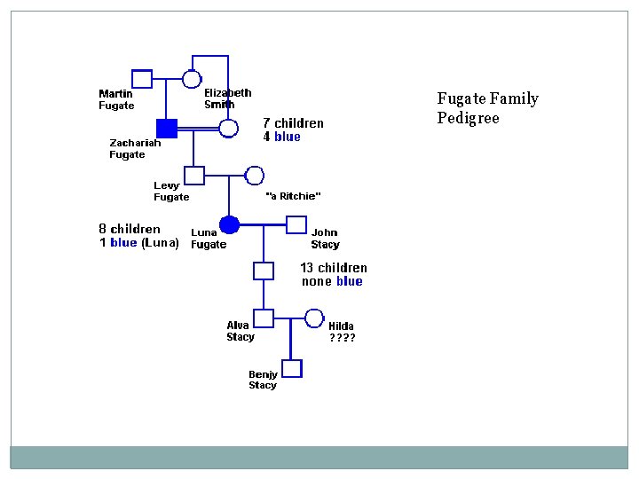 Fugate Family Pedigree 