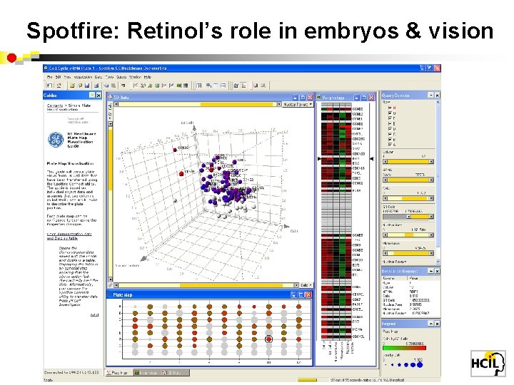 Spotfire: Retinol’s role in embryos & vision 