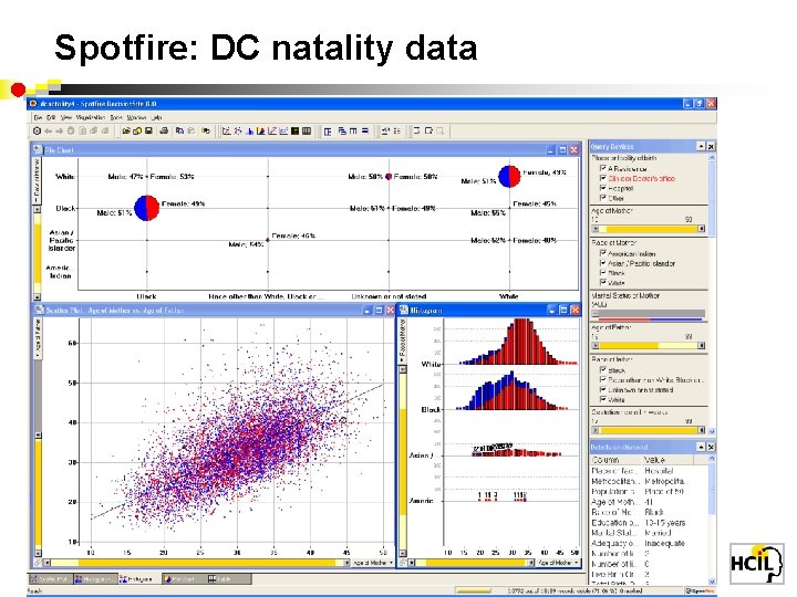 Spotfire: DC natality data 