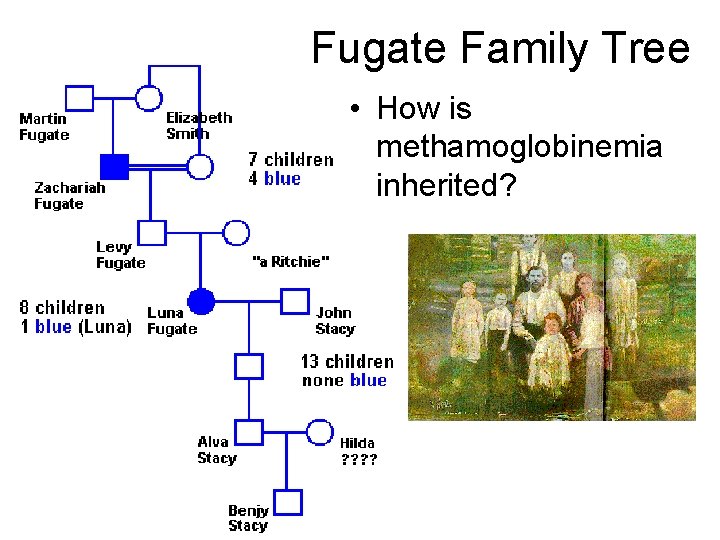 Fugate Family Tree • How is methamoglobinemia inherited? 
