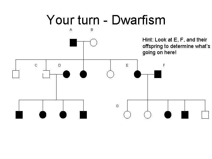 Your turn - Dwarfism A B Hint: Look at E, F, and their offspring