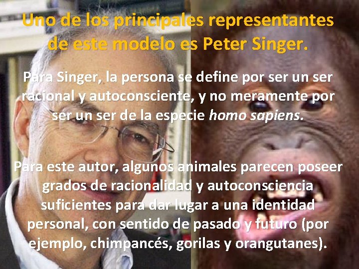 Uno de los principales representantes de este modelo es Peter Singer. Para Singer, la