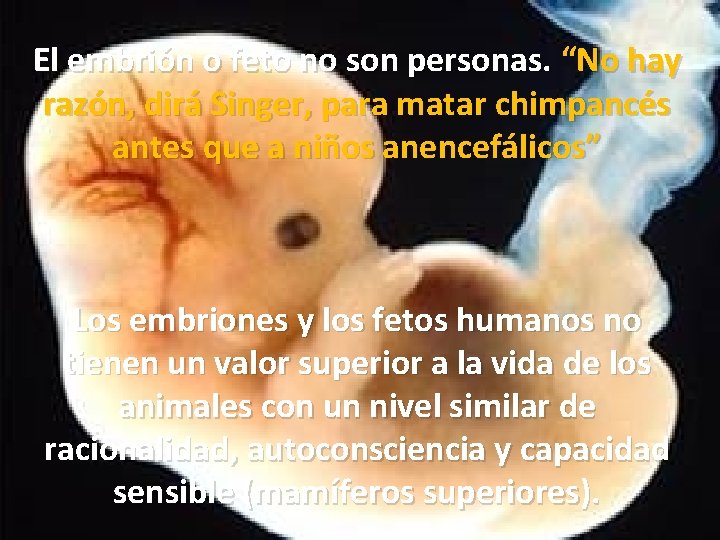 El embrión o feto no son personas. “No hay razón, dirá Singer, para matar