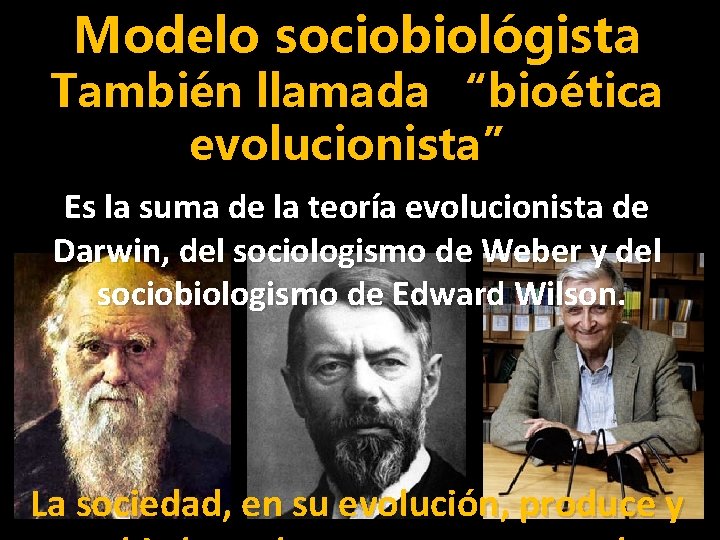 Modelo sociobiológista También llamada “bioética evolucionista” Es la suma de la teoría evolucionista de