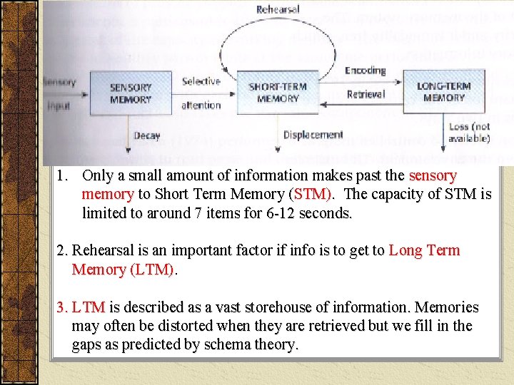 1. Only a small amount of information makes past the sensory memory to Short