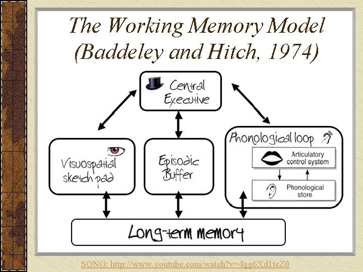 The Working Memory Model (Baddeley and Hitch, 1974) SONG: http: //www. youtube. com/watch? v=4