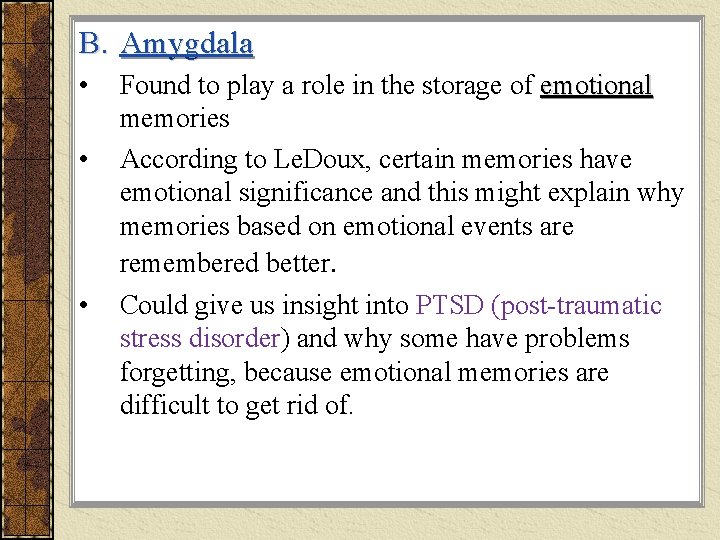 B. Amygdala • • • Found to play a role in the storage of