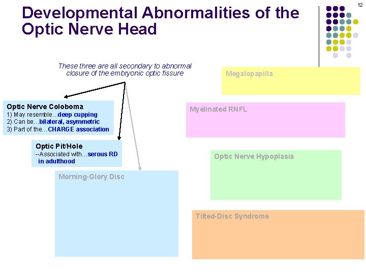 Developmental Abnormalities of the Optic Nerve Head These three are all secondary to abnormal