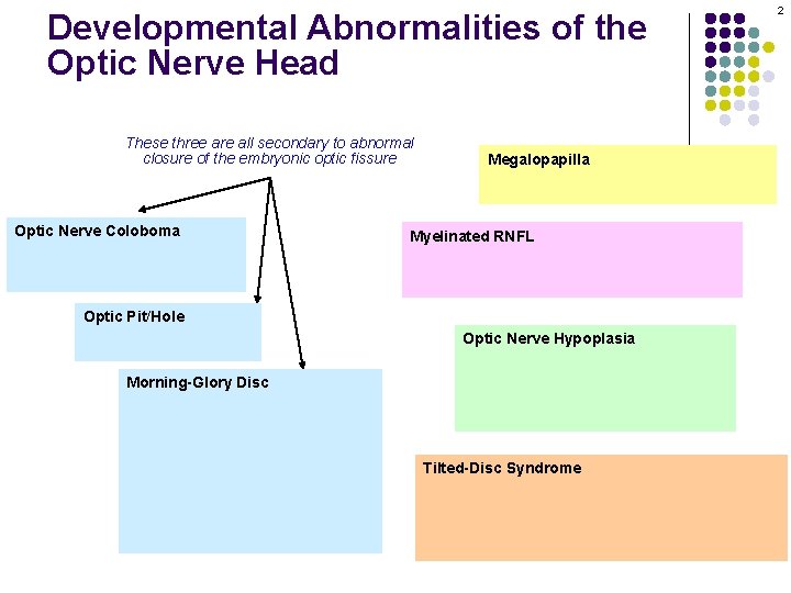 Developmental Abnormalities of the Optic Nerve Head These three are all secondary to abnormal