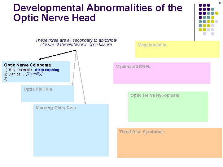 Developmental Abnormalities of the Optic Nerve Head These three are all secondary to abnormal