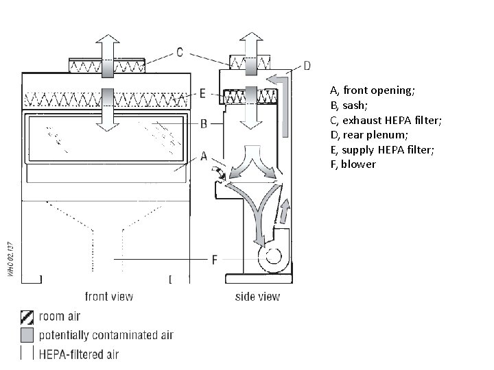 A, front opening; B, sash; C, exhaust HEPA filter; D, rear plenum; E, supply