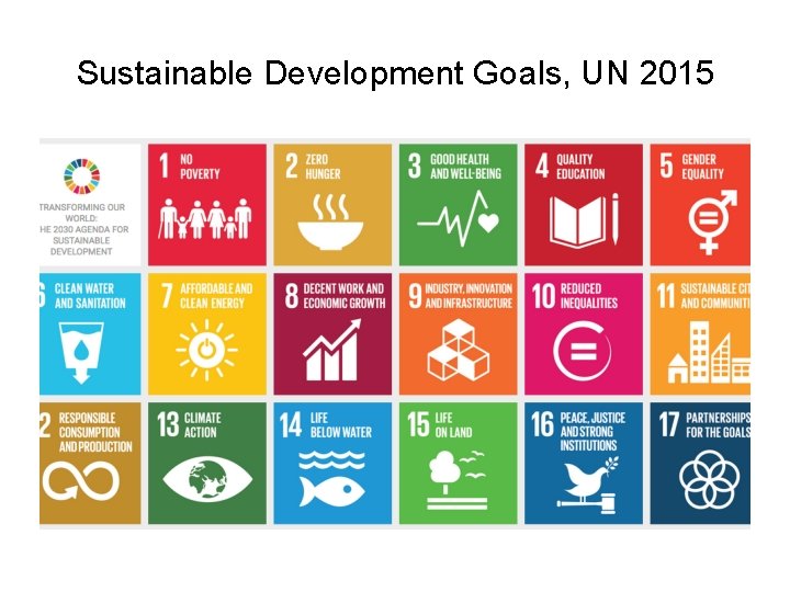 Sustainable Development Goals, UN 2015 Screen Shot 2016 -10 -31 at 08. 05. 10