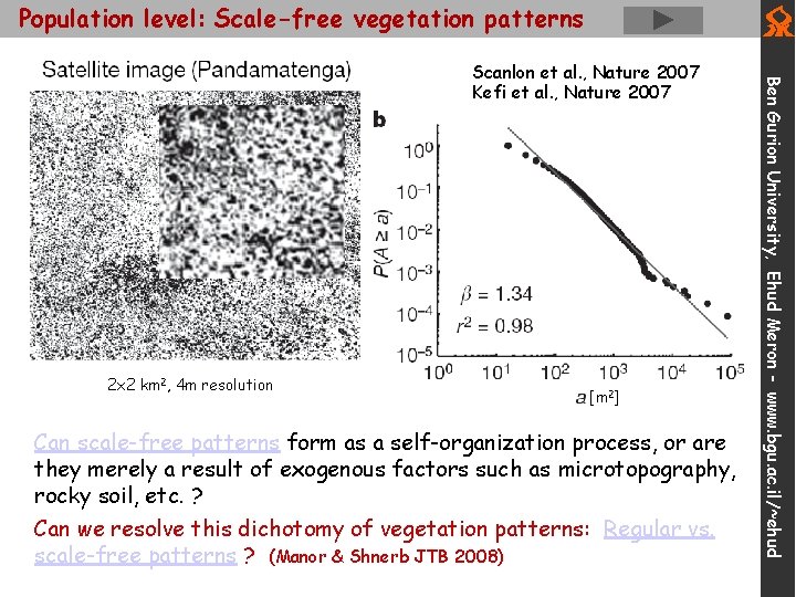 Population level: Scale-free vegetation patterns 2 x 2 km 2, 4 m resolution [m
