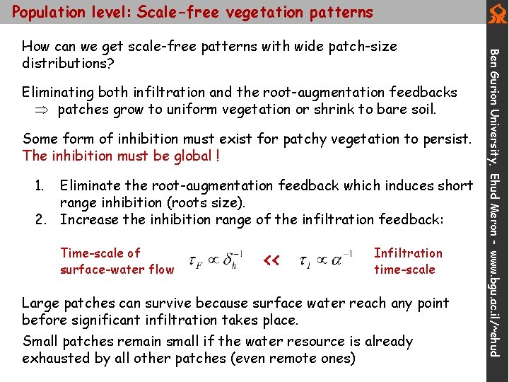 Population level: Scale-free vegetation patterns Eliminating both infiltration and the root-augmentation feedbacks patches grow