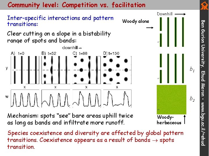 Community level: Competition vs. facilitation Woody alone Clear cutting on a slope in a