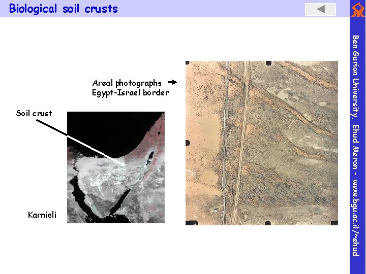 Biological soil crusts Soil crust Karnieli Ben Gurion University, Ehud Meron - www. bgu.