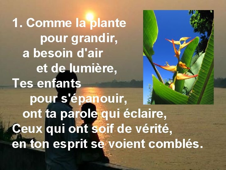 1. Comme la plante pour grandir, a besoin d'air et de lumière, Tes enfants