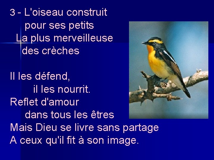 3 - L'oiseau construit pour ses petits La plus merveilleuse des crèches Il les