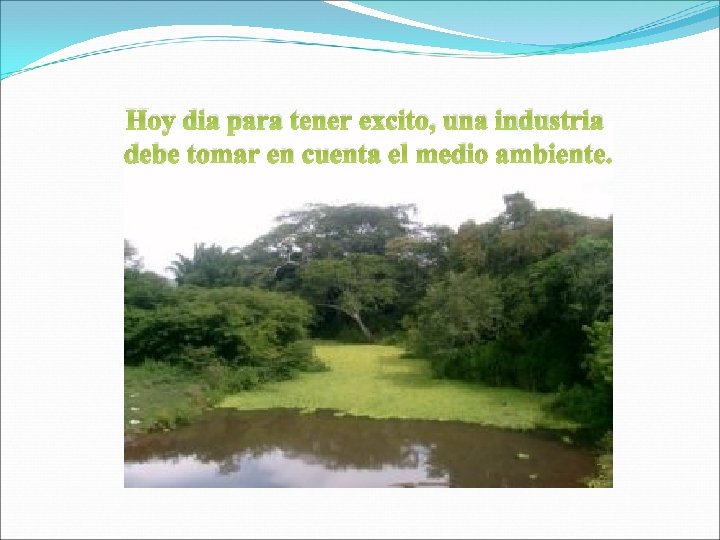 Hoy dia para tener excito, una industria debe tomar en cuenta el medio ambiente.