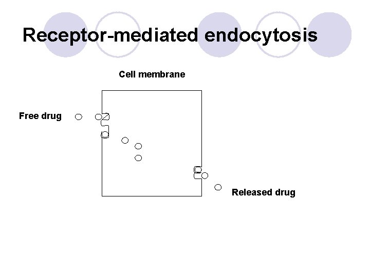 Receptor-mediated endocytosis Cell membrane Free drug Released drug 