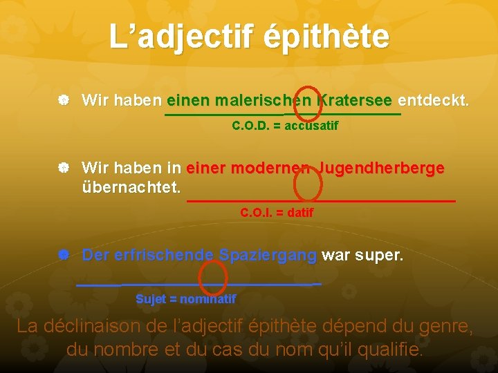 L’adjectif épithète Wir haben einen malerischen Kratersee entdeckt. C. O. D. = accusatif Wir