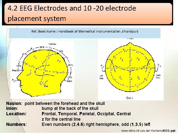 4. 2 EEG Electrodes and 10 -20 electrode placement system Ref. Book Name :