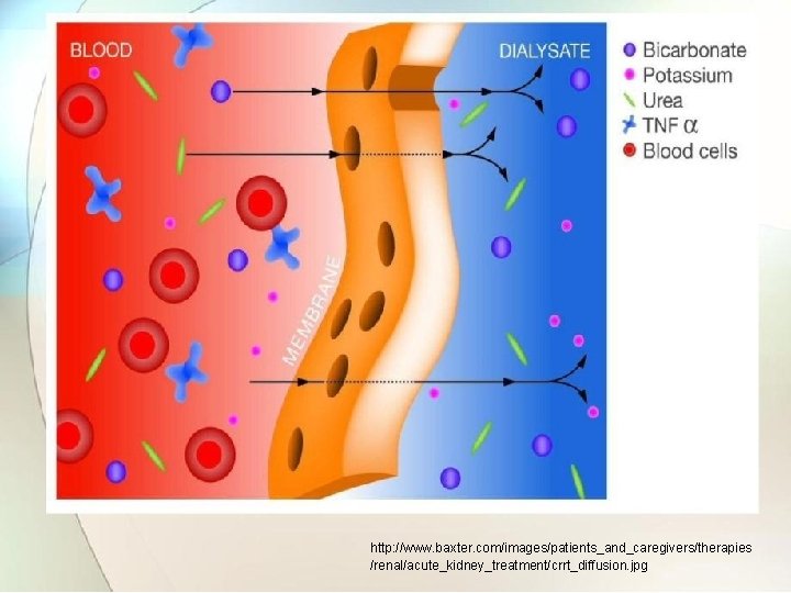 http: //www. baxter. com/images/patients_and_caregivers/therapies /renal/acute_kidney_treatment/crrt_diffusion. jpg 