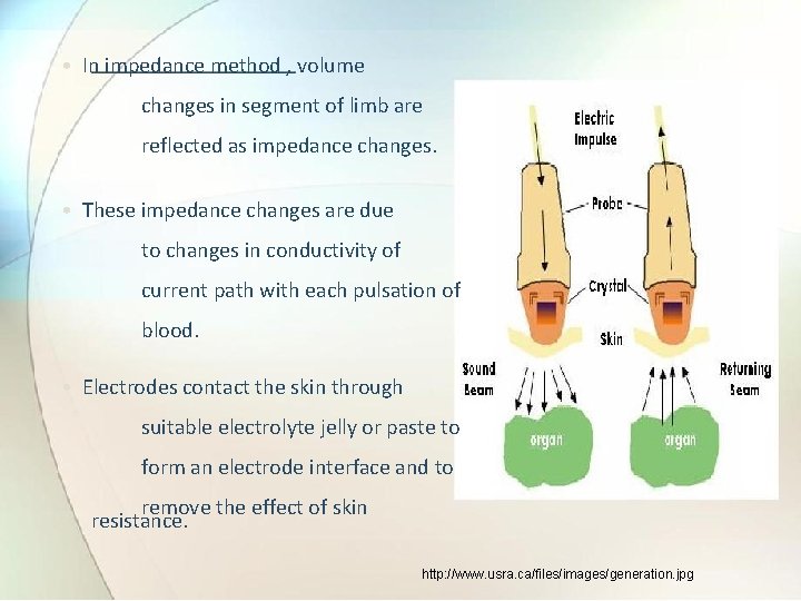  • In impedance method , volume changes in segment of limb are reflected
