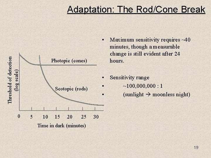 Threshold of detection (log scale) Adaptation: The Rod/Cone Break 0 • Maximum sensitivity requires