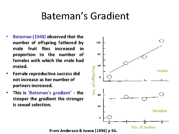  • Bateman (1948) observed that the number of offspring fathered by male fruit