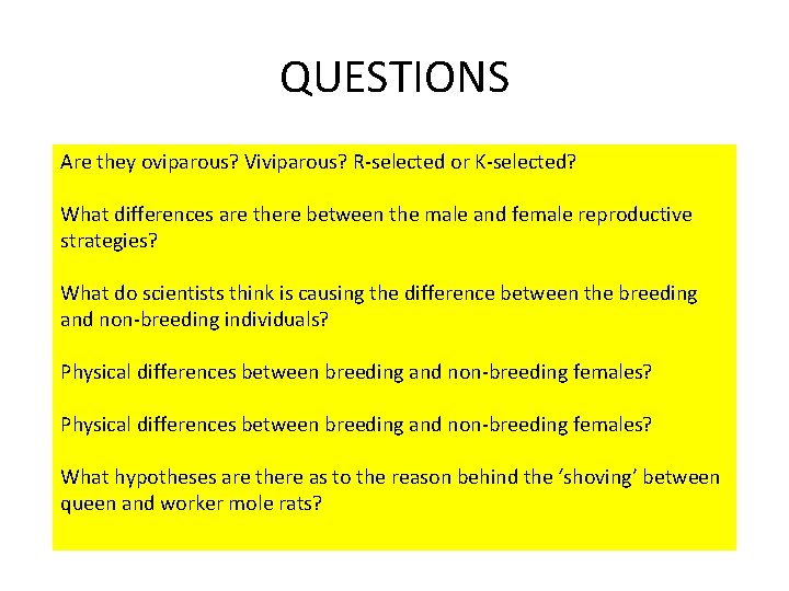 QUESTIONS Are they oviparous? Viviparous? R-selected or K-selected? What differences are there between the