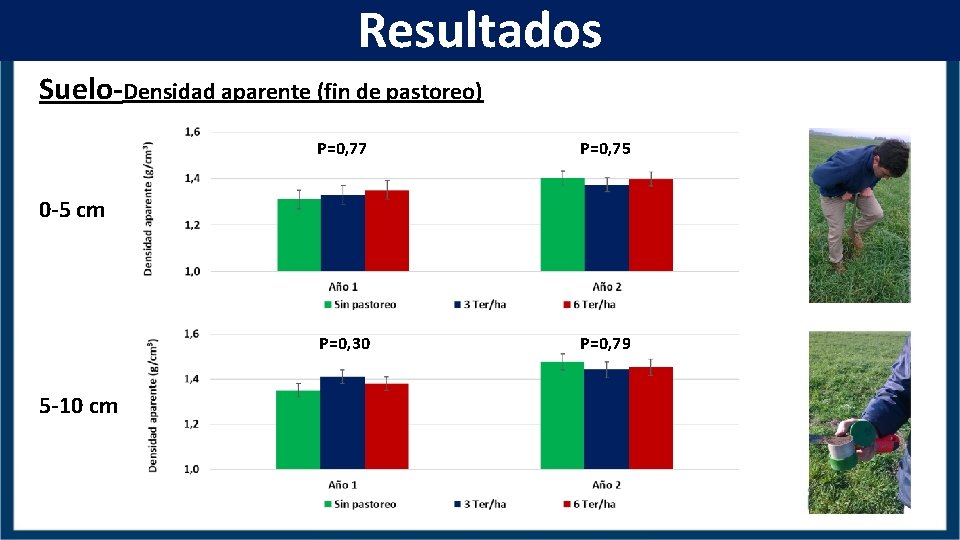 Resultados Suelo-Densidad aparente (fin de pastoreo) P=0, 77 P=0, 75 P=0, 30 P=0, 79